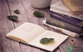 https://adyrna.kz/content/uploads/2019/12/kitap.jpeg