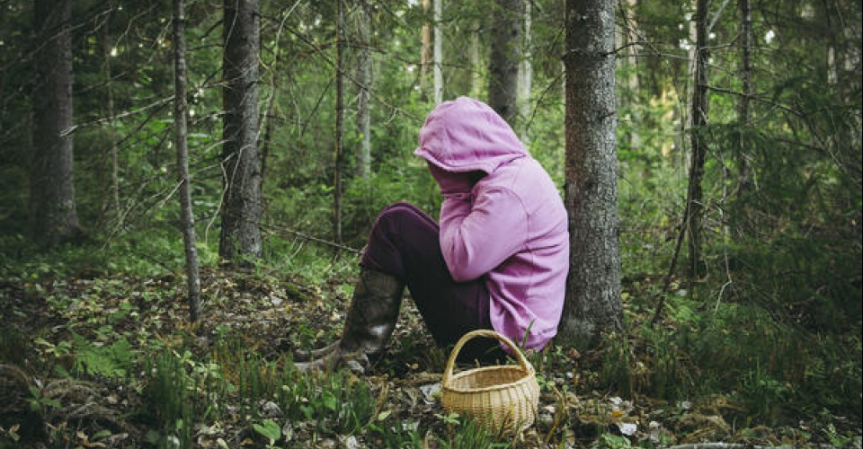 Confused person went to mushroom picking and got lost in the forest, disoriented scared and confused, northern Europe, sit under tree. Person lost in nature concept. Wearing bright colorful clothing.