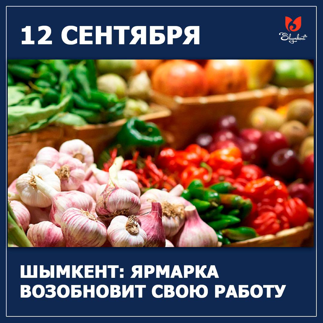 https://adyrna.kz/content/uploads/2020/09/a7306709-4ba2-4c96-a6fa-e141cb8195eb.jpeg
