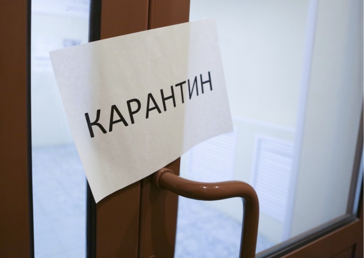 https://adyrna.kz/content/uploads/2020/10/9c083981-e622-4def-8d79-a7611362cac8.jpeg
