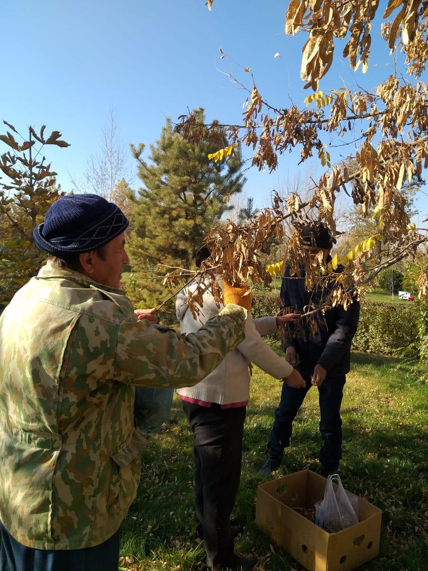 https://adyrna.kz/content/uploads/2020/11/219cd84c-9a63-40b9-9778-e3a35436dde3.jpeg