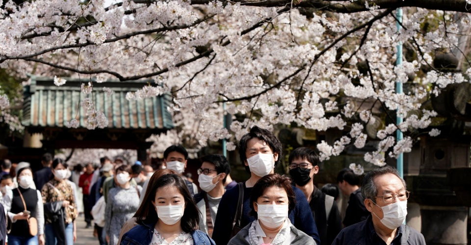 epa08312878 Visitors wearing masks stroll under cherry blossoms at Ueno Park in Tokyo, Japan, 22 March 2020. Authorities asked visitors to not hold 'hanami' (or blossom viewing) parties to limit the spread of the COVID-19 coronavirus.  EPA-EFE/FRANCK ROBICHON