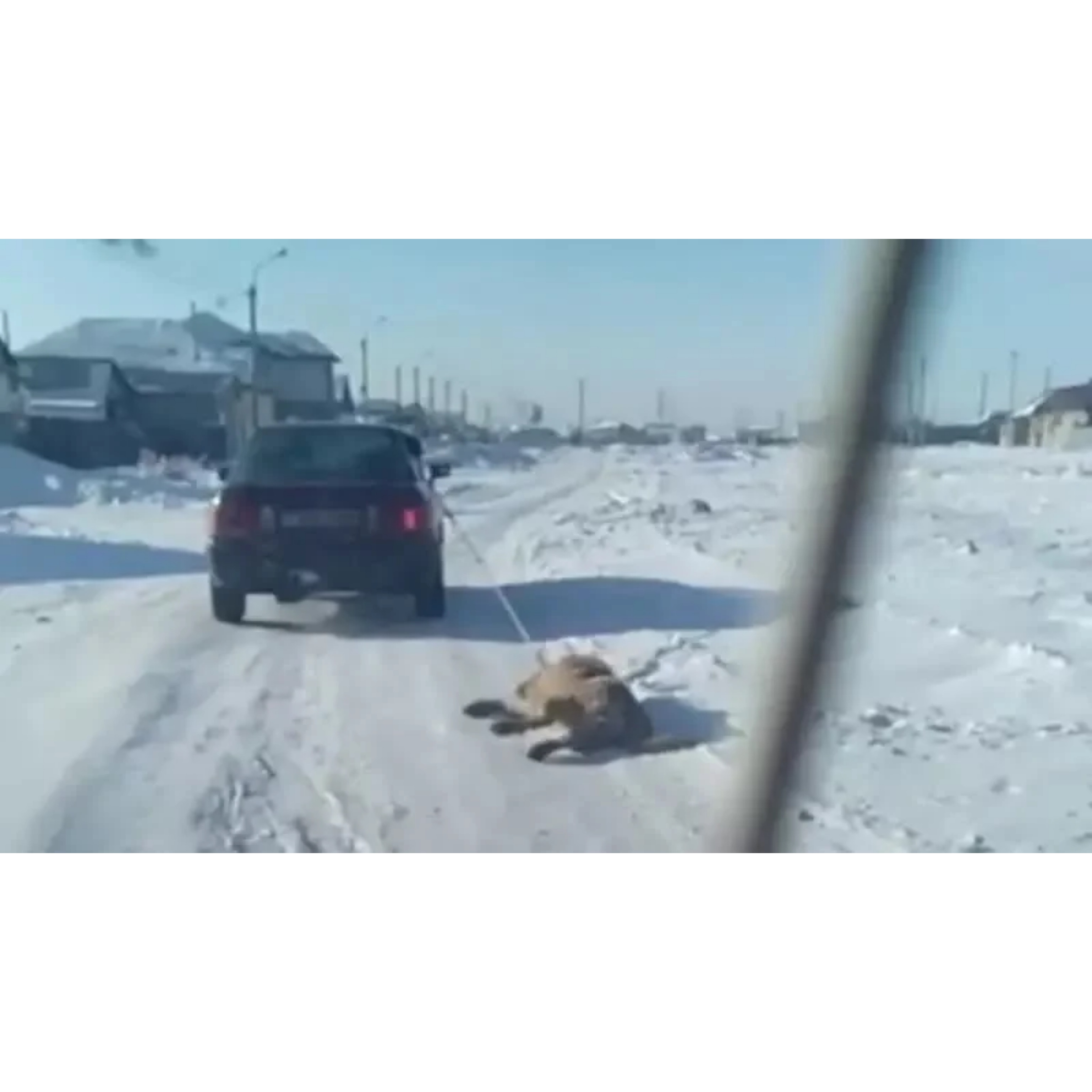 https://adyrna.kz/content/uploads/2021/01/2d5c19df-2eae-4def-9019-43fea714e5fa.jpeg