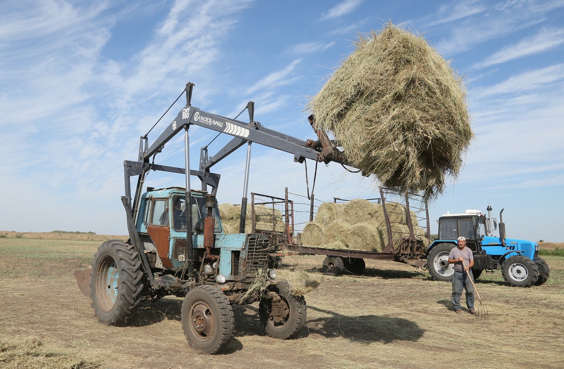 Қазірдің өзінде қызу жүріп жатыр