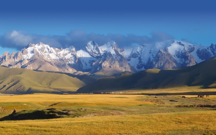 https://adyrna.kz/content/uploads/2022/02/nuibm52rrb_a4_710x444.jpeg