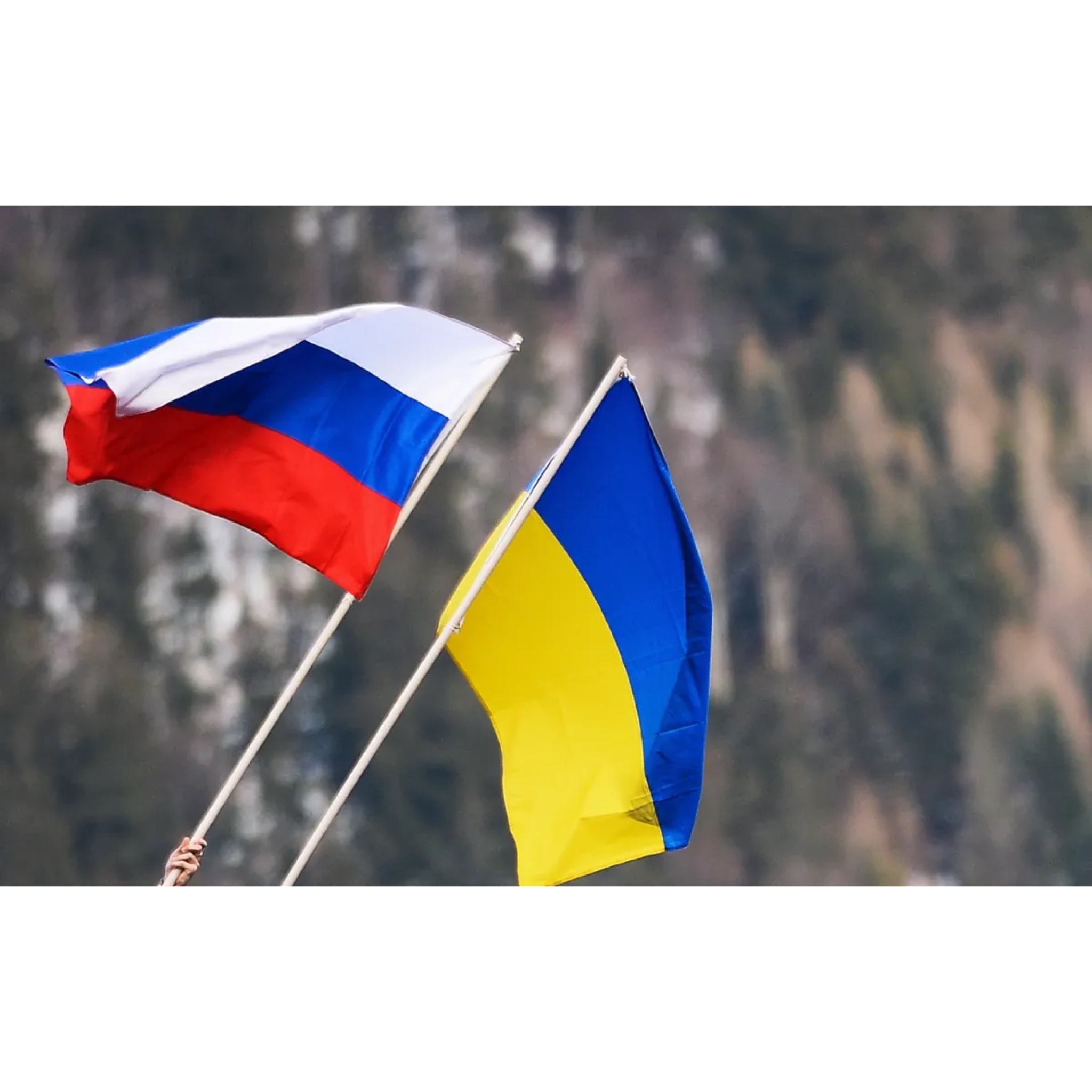 https://adyrna.kz/content/uploads/2022/07/0e7cad92-ae33-4909-a604-b20d11b8ce95.jpeg