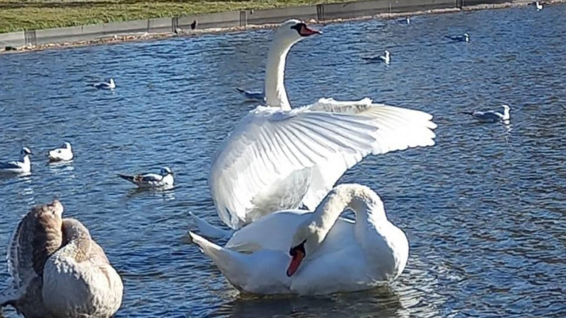 https://adyrna.kz/content/uploads/2022/10/photo_410925.jpeg