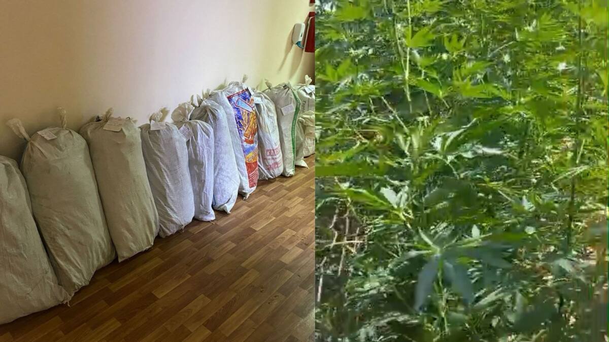 https://adyrna.kz/content/uploads/2024/07/img_7573.jpeg