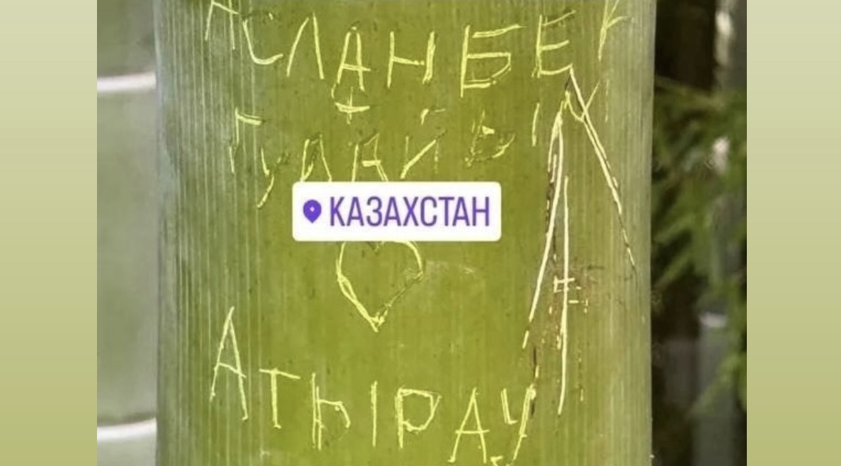 https://adyrna.kz/content/uploads/2024/09/42a4e8ff-3562-48e0-b66d-61394a98f8c1.jpeg