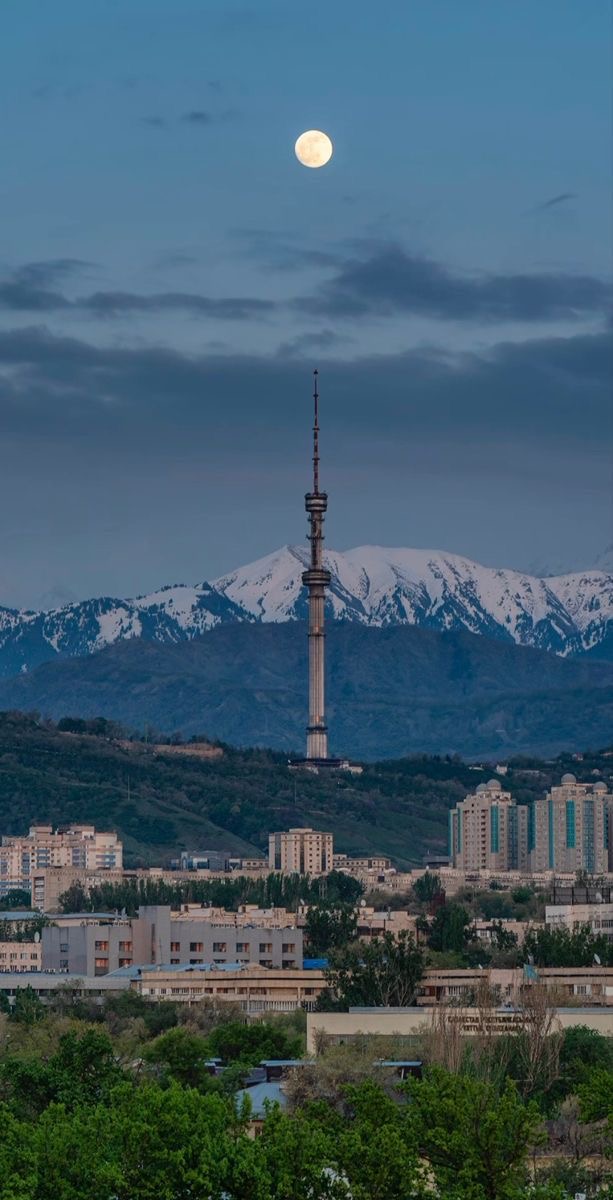 https://adyrna.kz/content/uploads/2024/12/7c22643d-ea3b-4472-a388-f1b453c389ae.jpeg