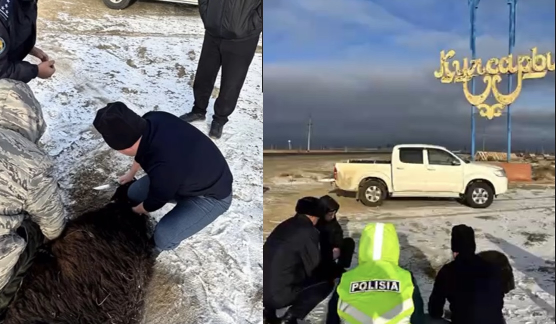 https://adyrna.kz/content/uploads/2025/01/c5fc7582-57ba-43ea-8953-2a0e72ee35ec.jpeg