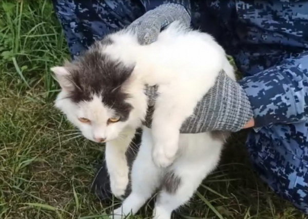 https://adyrna.kz/storage/uploads/HztlPBILNhPZmXoSEePNnDmhVaNIcnRepTUfyvPe.jpg