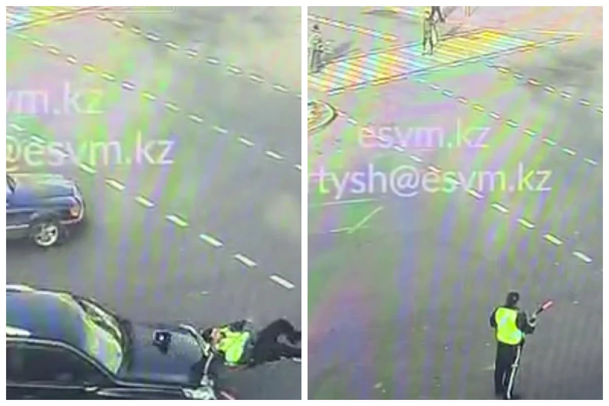 Лесби полициясының видеосы Лесби полициясының видеосы