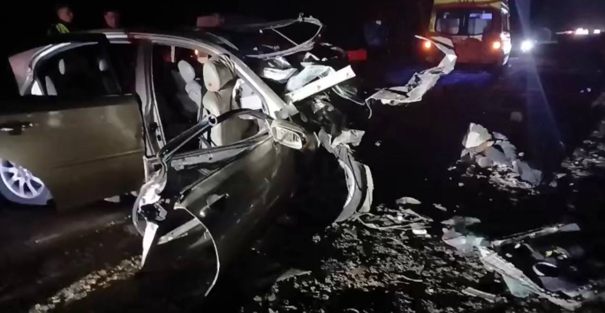 Пискадағы лолипоптың фотосы Пискадағы лолипоптың фотосы